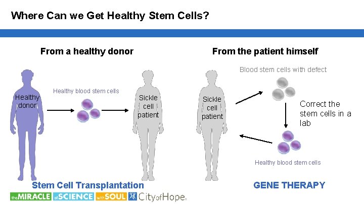 Where Can we Get Healthy Stem Cells? From a healthy donor From the patient