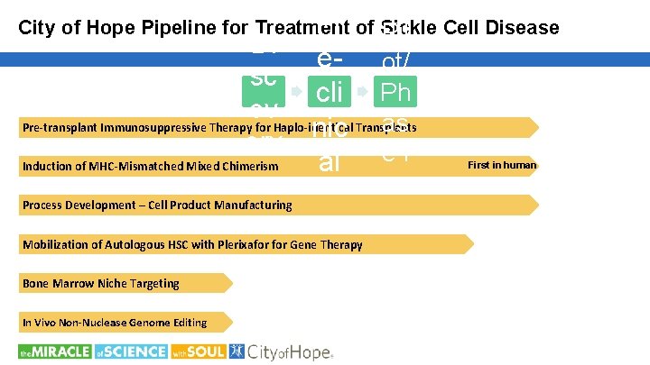 Pr of Sickle City of Hope Pipeline for Treatment Pil Cell Disease Di e-