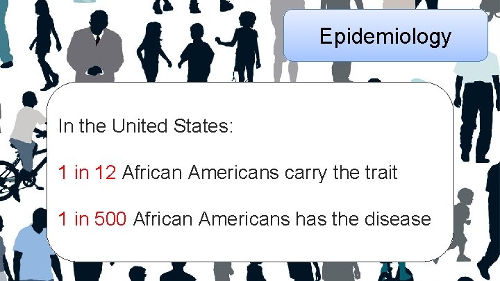 Epidemiology In the United States: 1 in 12 African Americans carry the trait 1