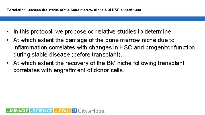 Correlation between the status of the bone marrow niche and HSC engraftment • In