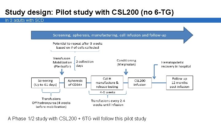 Study design: Pilot study with CSL 200 (no 6 -TG) In 3 adults with