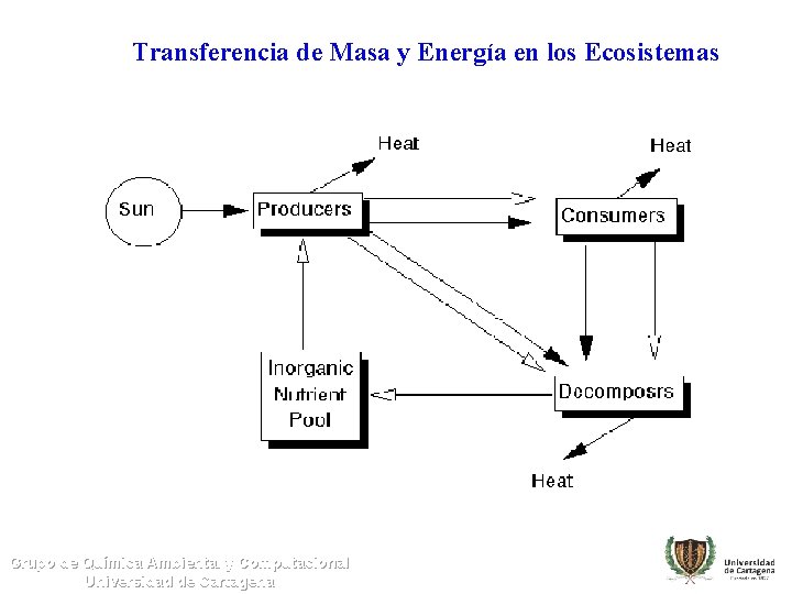 Transferencia de Masa y Energía en los Ecosistemas Grupo de Química Ambiental y Computacional