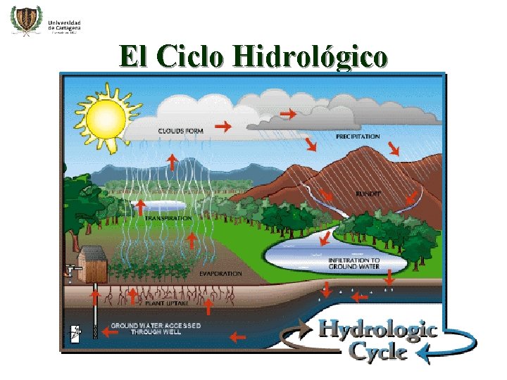 El Ciclo Hidrológico 