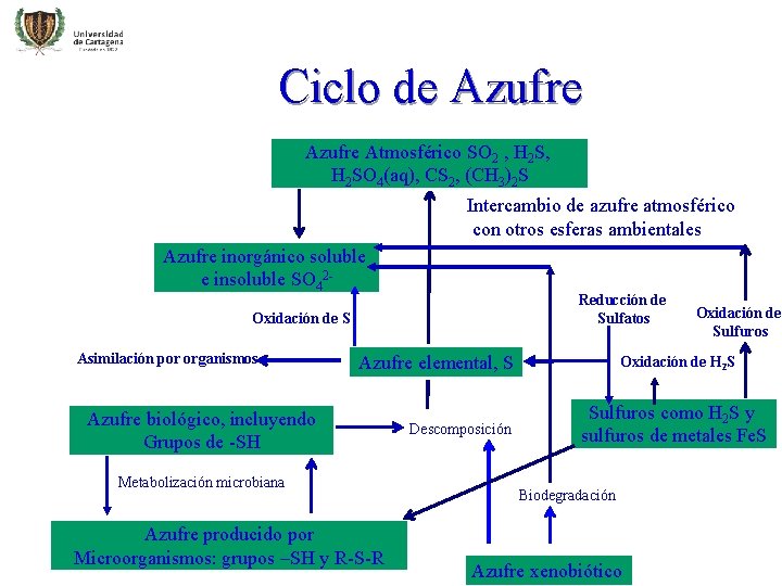 Ciclo de Azufre Atmosférico SO 2 , H 2 SO 4(aq), CS 2, (CH