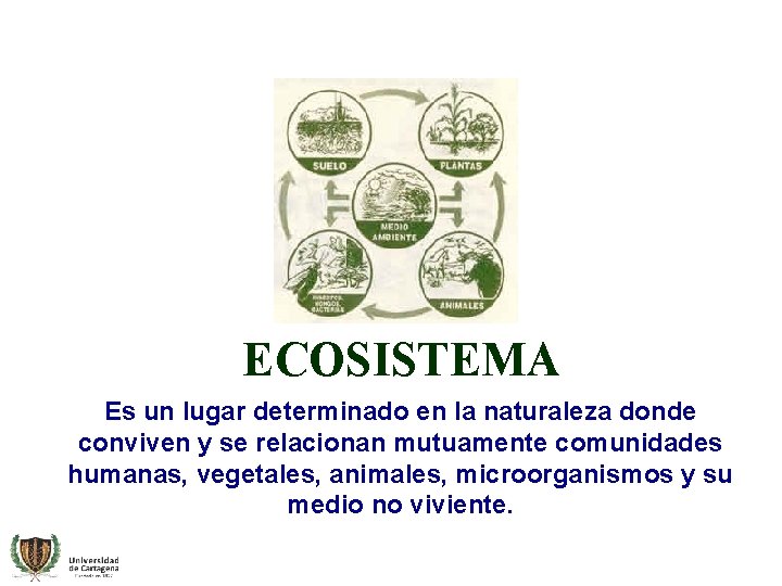 ECOSISTEMA Es un lugar determinado en la naturaleza donde conviven y se relacionan mutuamente