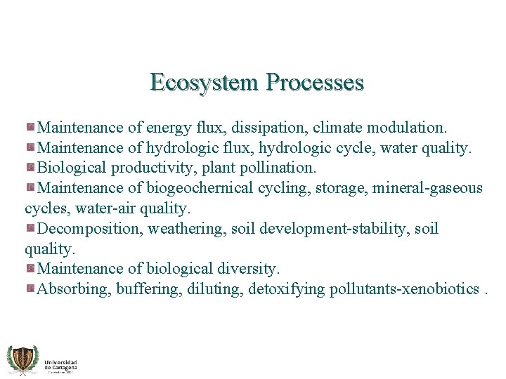 Ecosystem Processes Maintenance of energy flux, dissipation, climate modulation. Maintenance of hydrologic flux, hydrologic
