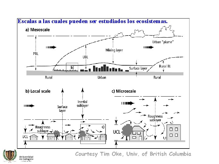 Escalas a las cuales pueden ser estudiados los ecosistemas. 