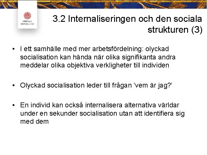 3. 2 Internaliseringen och den sociala strukturen (3) • I ett samhälle med mer