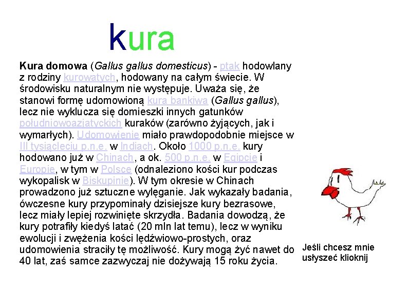 kura Kura domowa (Gallus gallus domesticus) - ptak hodowlany z rodziny kurowatych, hodowany na