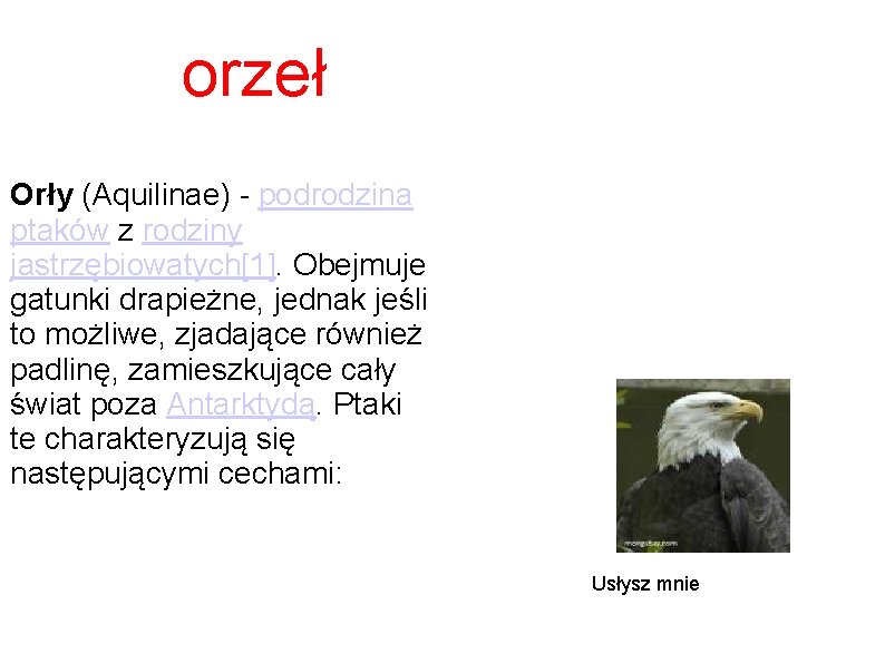 orzeł Orły (Aquilinae) - podrodzina ptaków z rodziny jastrzębiowatych[1]. Obejmuje gatunki drapieżne, jednak jeśli