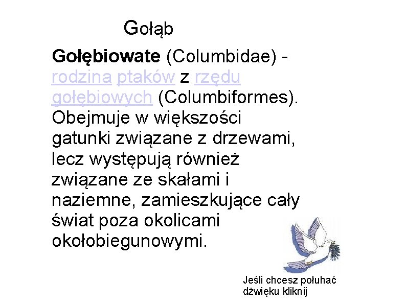 Gołąb Gołębiowate (Columbidae) rodzina ptaków z rzędu gołębiowych (Columbiformes). Obejmuje w większości gatunki związane