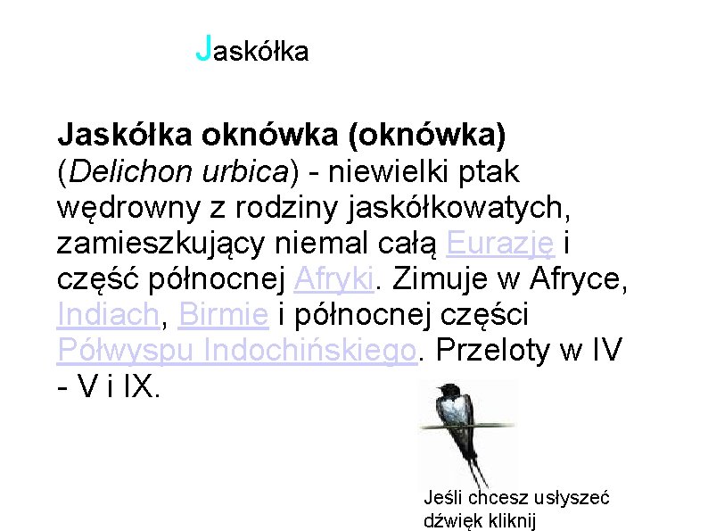 Jaskółka oknówka (oknówka) (Delichon urbica) - niewielki ptak wędrowny z rodziny jaskółkowatych, zamieszkujący niemal