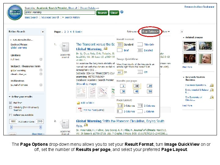 The Page Options drop-down menu allows you to set your Result Format, turn Image