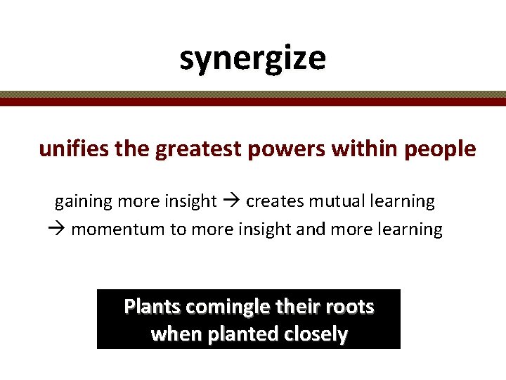 synergize unifies the greatest powers within people gaining more insight creates mutual learning momentum