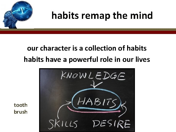 habits remap the mind our character is a collection of habits have a powerful