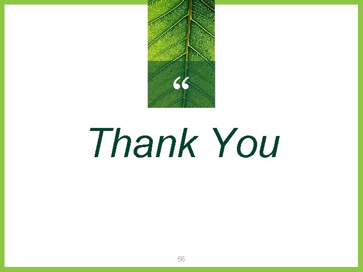 “ Thank You 56 