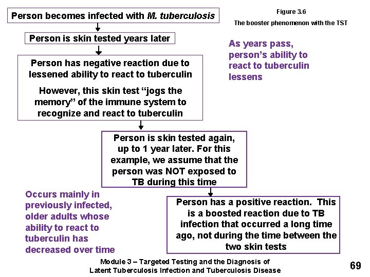 Person becomes infected with M. tuberculosis Person is skin tested years later Person has