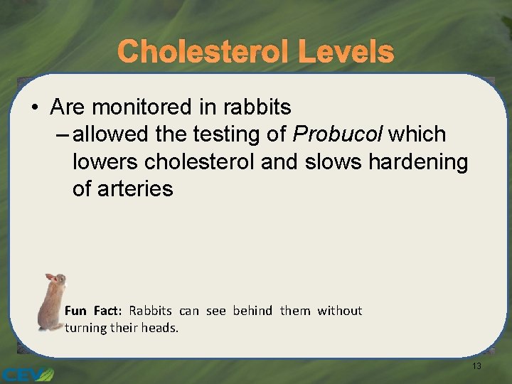 Cholesterol Levels • Are monitored in rabbits – allowed the testing of Probucol which