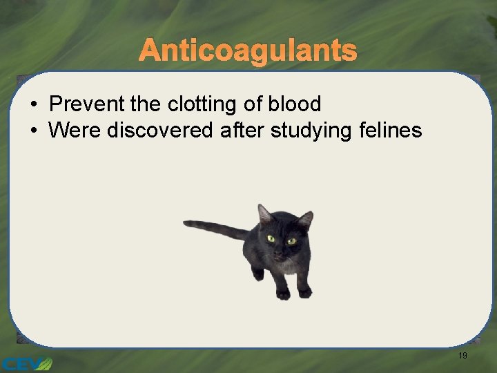 Anticoagulants • Prevent the clotting of blood • Were discovered after studying felines 19