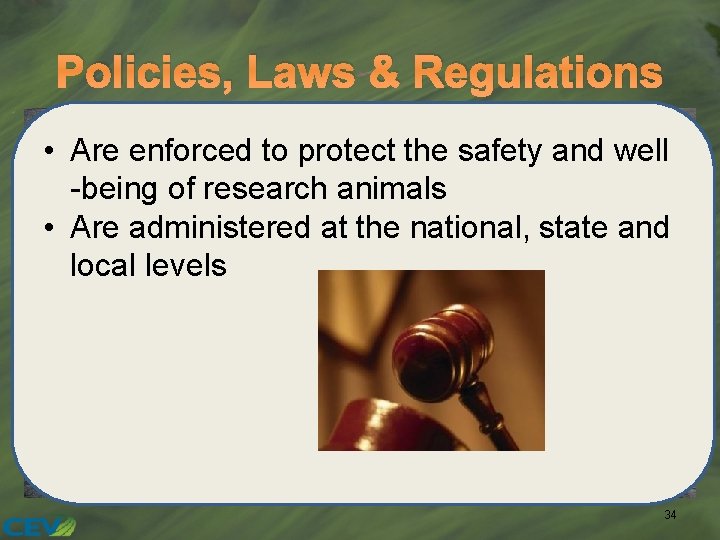 Policies, Laws & Regulations • Are enforced to protect the safety and well -being