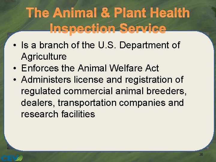 The Animal & Plant Health Inspection Service • Is a branch of the U.