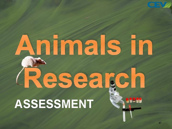 Animals in Research ASSESSMENT 41 