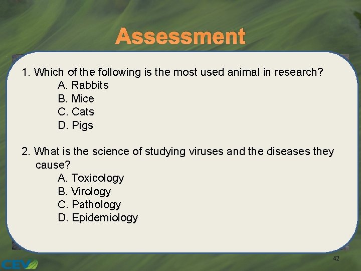 Assessment 1. Which of the following is the most used animal in research? A.