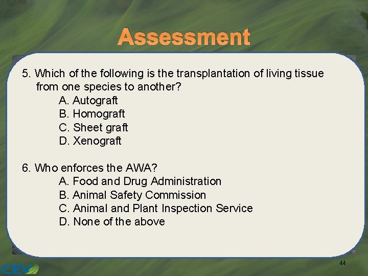 Assessment 5. Which of the following is the transplantation of living tissue from one
