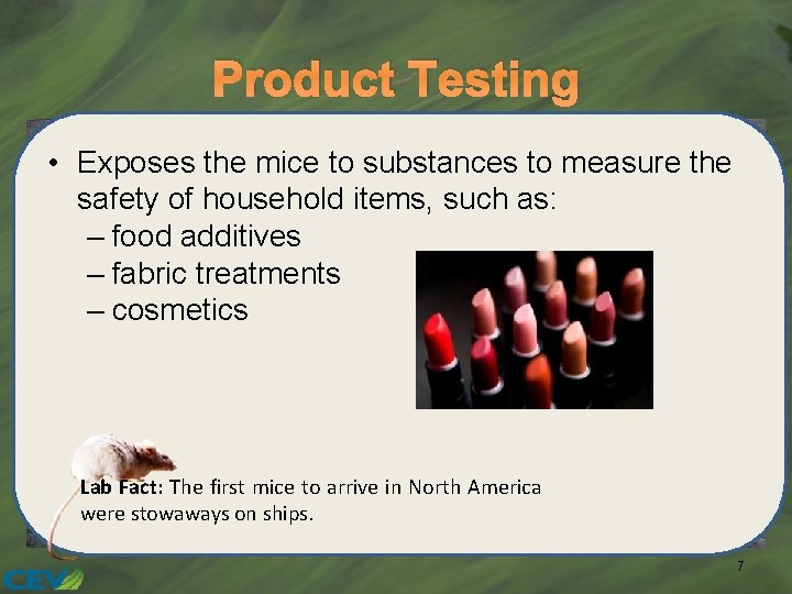 Product Testing • Exposes the mice to substances to measure the safety of household