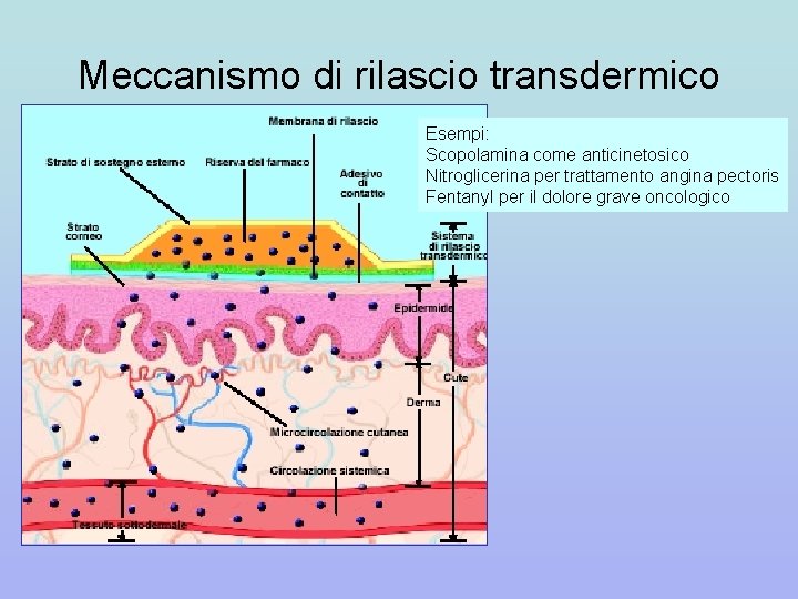 Meccanismo di rilascio transdermico Esempi: Scopolamina come anticinetosico Nitroglicerina per trattamento angina pectoris Fentanyl