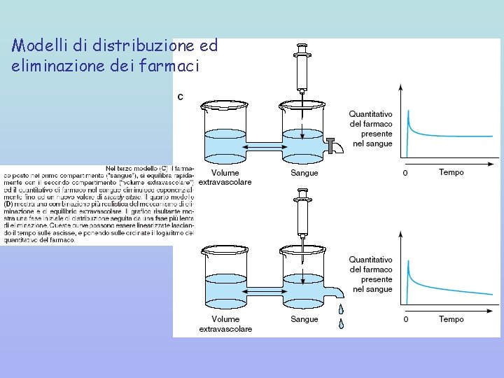 Modelli di distribuzione ed eliminazione dei farmaci 