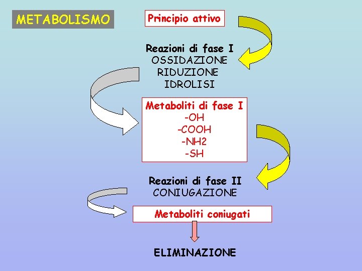 METABOLISMO Principio attivo Reazioni di fase I OSSIDAZIONE RIDUZIONE IDROLISI Metaboliti di fase I