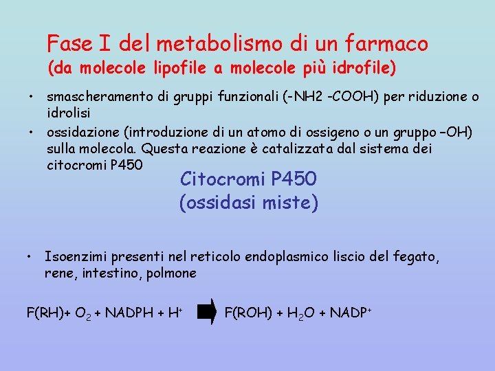 Fase I del metabolismo di un farmaco (da molecole lipofile a molecole più idrofile)