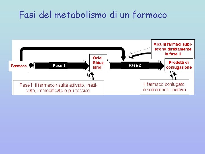 Fasi del metabolismo di un farmaco Fase 1 Oxid Riduz Idrol Fase I: il