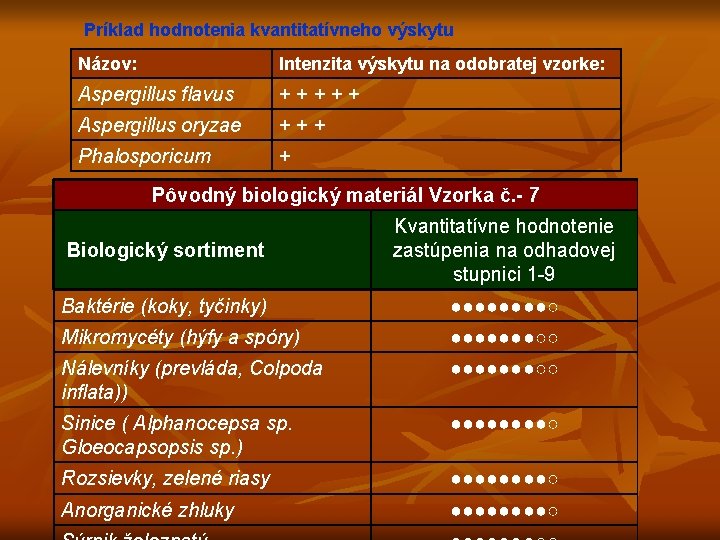 Príklad hodnotenia kvantitatívneho výskytu Názov: Intenzita výskytu na odobratej vzorke: Aspergillus flavus + +