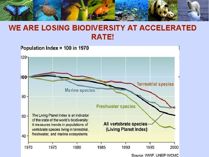 WE ARE LOSING BIODIVERSITY AT ACCELERATED RATE! 