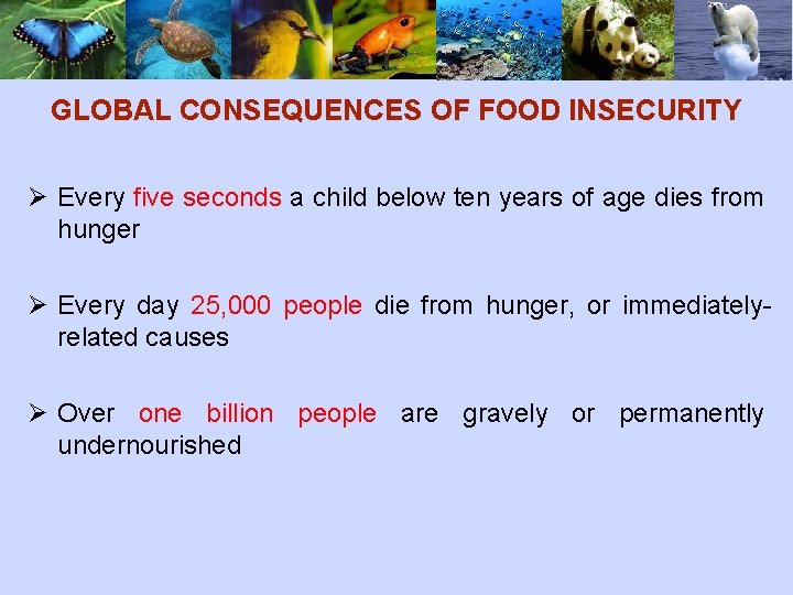 GLOBAL CONSEQUENCES OF FOOD INSECURITY Ø Every five seconds a child below ten years