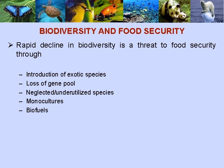 BIODIVERSITY AND FOOD SECURITY Ø Rapid decline in biodiversity is a threat to food