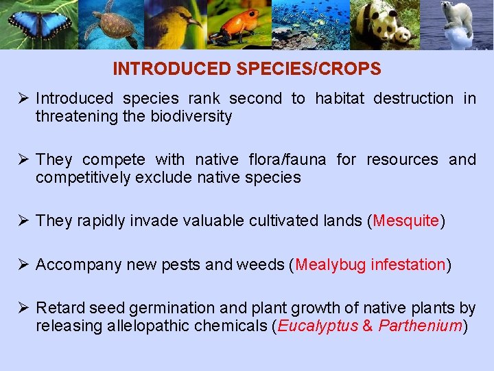 INTRODUCED SPECIES/CROPS Ø Introduced species rank second to habitat destruction in threatening the biodiversity