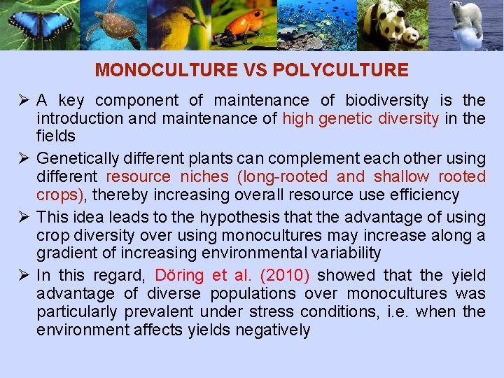 MONOCULTURE VS POLYCULTURE Ø A key component of maintenance of biodiversity is the introduction