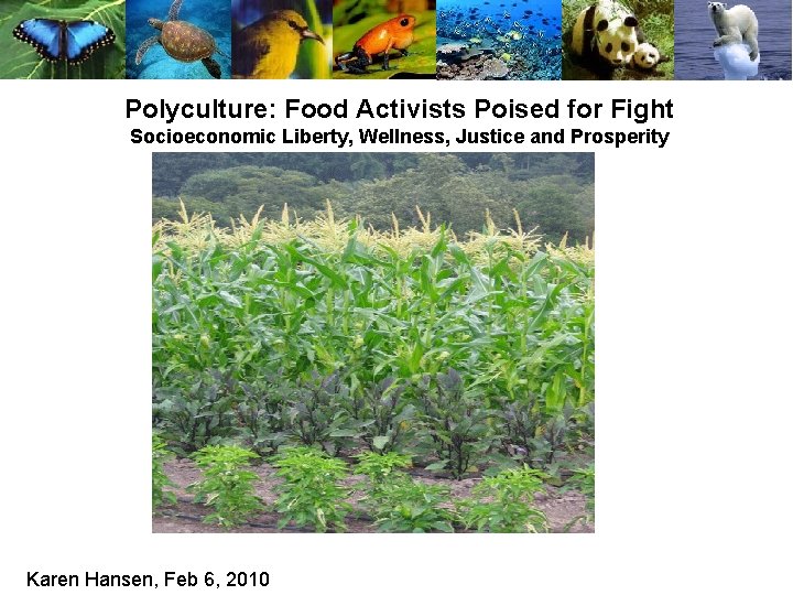 Polyculture: Food Activists Poised for Fight Socioeconomic Liberty, Wellness, Justice and Prosperity Karen Hansen,