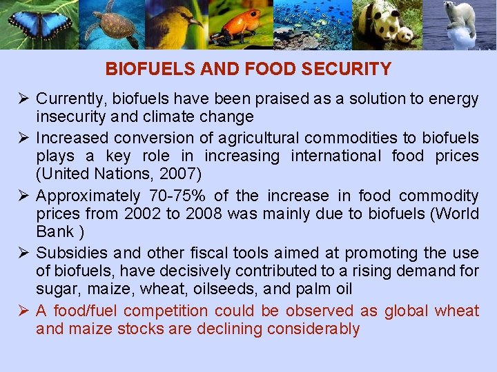 BIOFUELS AND FOOD SECURITY Ø Currently, biofuels have been praised as a solution to