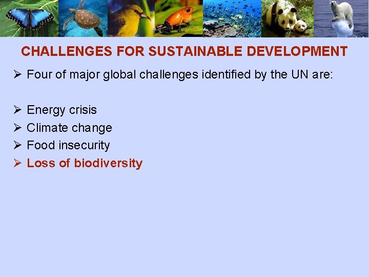 CHALLENGES FOR SUSTAINABLE DEVELOPMENT Ø Four of major global challenges identified by the UN