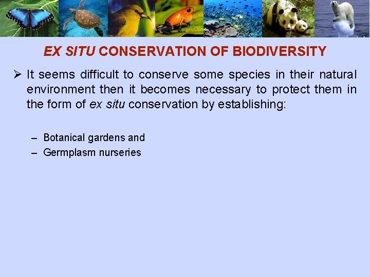 EX SITU CONSERVATION OF BIODIVERSITY Ø It seems difficult to conserve some species in