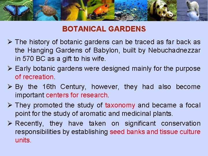 BOTANICAL GARDENS Ø The history of botanic gardens can be traced as far back