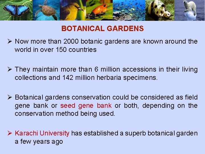 BOTANICAL GARDENS Ø Now more than 2000 botanic gardens are known around the world