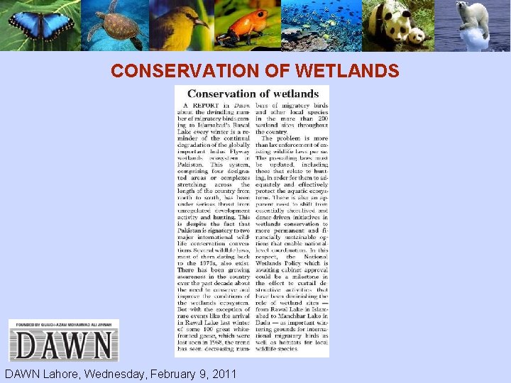 CONSERVATION OF WETLANDS DAWN Lahore, Wednesday, February 9, 2011 