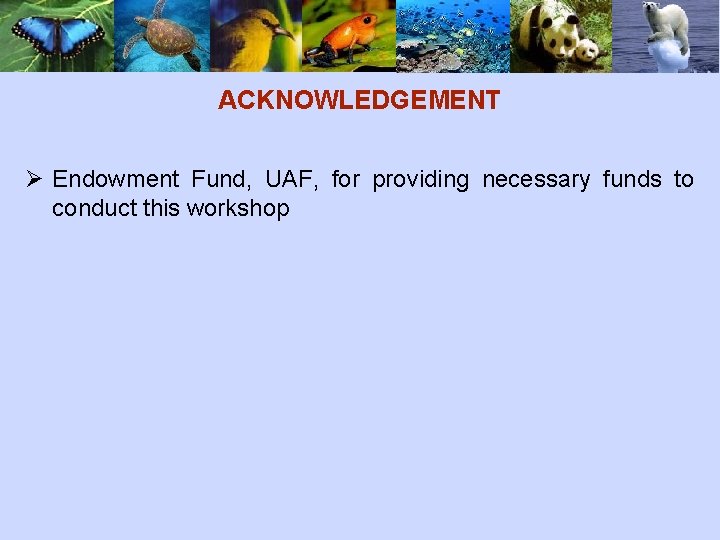 ACKNOWLEDGEMENT Ø Endowment Fund, UAF, for providing necessary funds to conduct this workshop 