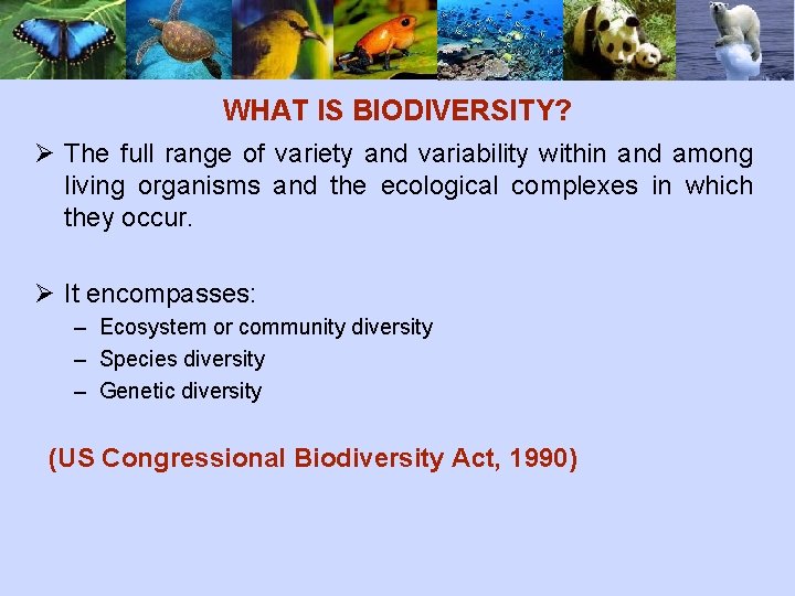 WHAT IS BIODIVERSITY? Ø The full range of variety and variability within and among