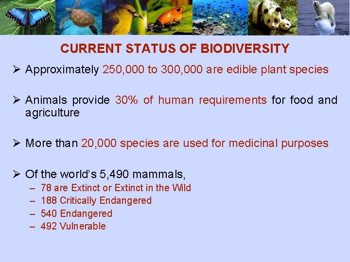 CURRENT STATUS OF BIODIVERSITY Ø Approximately 250, 000 to 300, 000 are edible plant